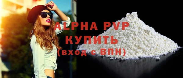 СК Новодвинск