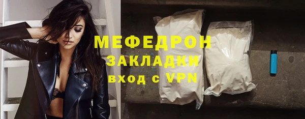 прущие грибы Няндома