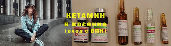 прущие грибы Няндома