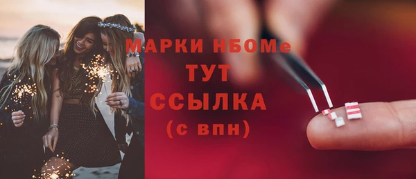 прущие грибы Няндома