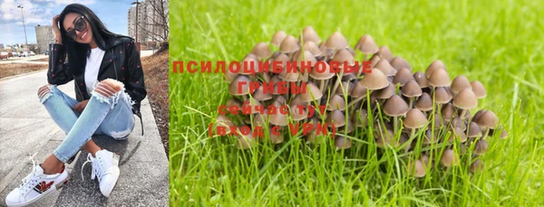 трава Нягань