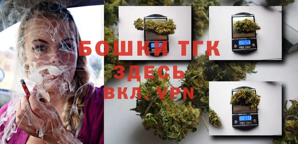 прущие грибы Няндома