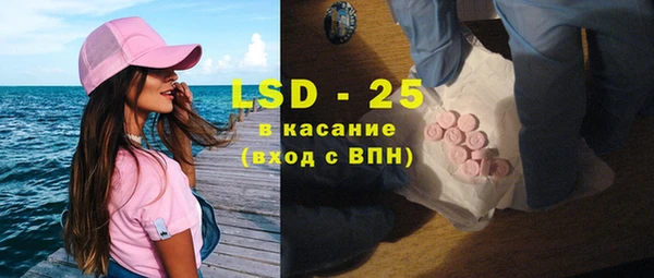 прущие грибы Няндома
