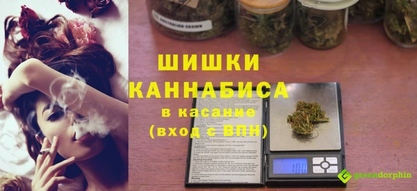 прущие грибы Няндома