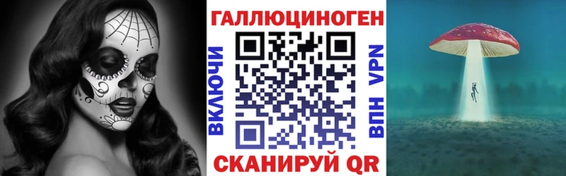 Галлюциногенные грибы Psilocybe  ссылка на мегу как войти  Кимры 