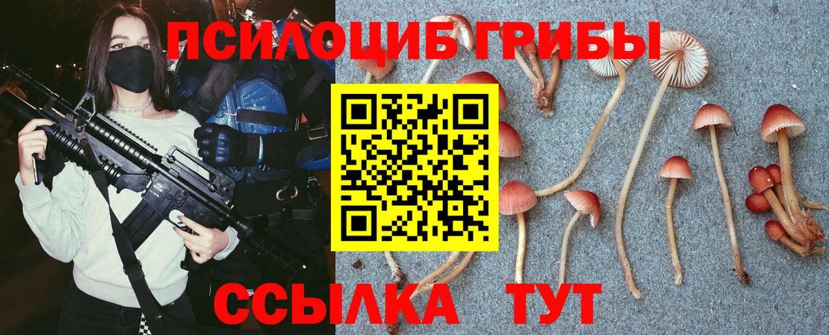 Галлюциногенные грибы GOLDEN TEACHER  Галлюциногенные грибы прущие грибы  Кимры  Вход с VPN 