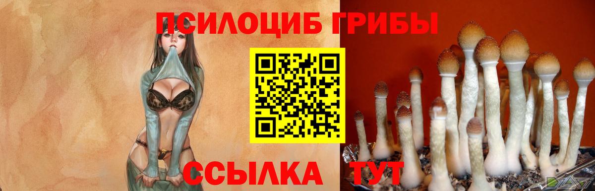 Галлюциногенные грибы ЛСД Кимры